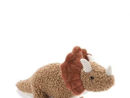 Baby Thomas the Triceratops - Brown For Sale