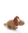 Baby Thomas the Triceratops - Brown For Sale