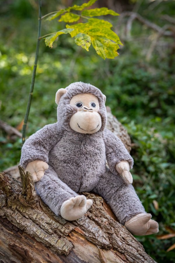 Maisie the Monkey Sale