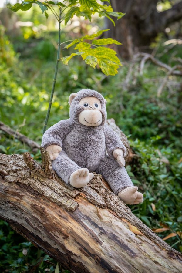 Gift Card - Maisie the Monkey For Sale