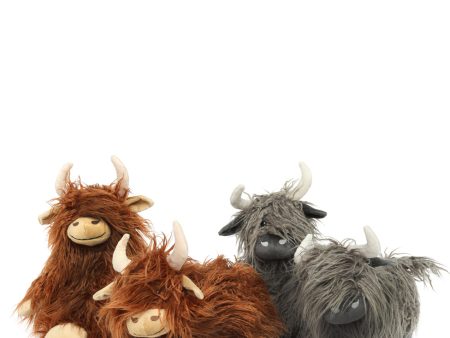 A Herd of Highland Cows on Sale