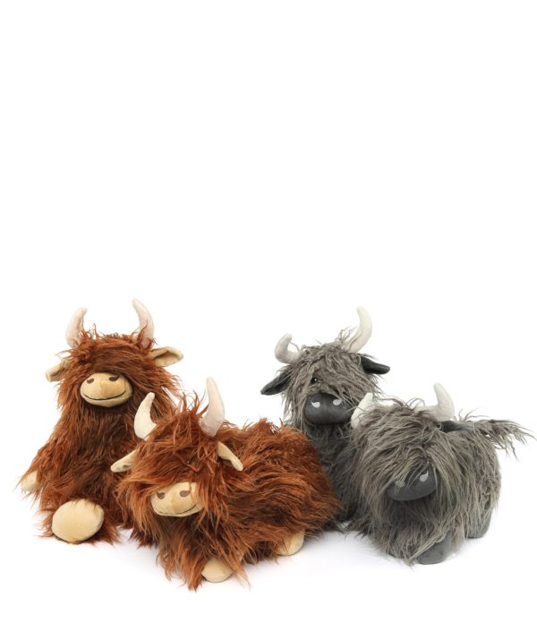 A Herd of Highland Cows on Sale