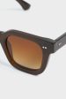 04 Brown Sunglasses Fashion