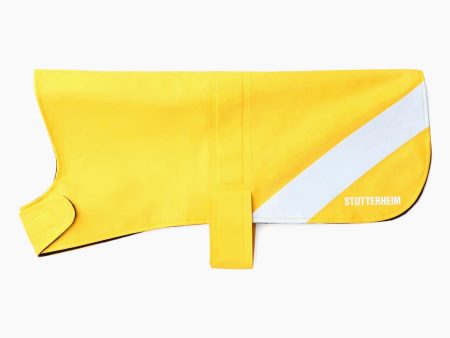 Yellow Dog Raincoat Fashion