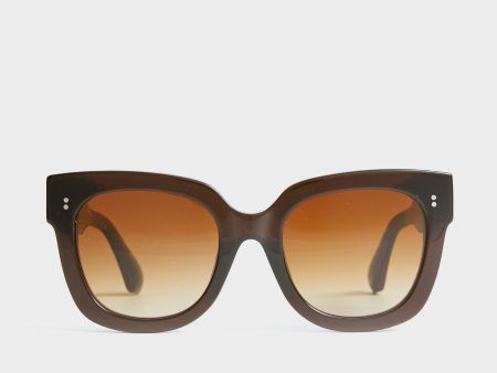 08 Brown Sunglasses Hot on Sale