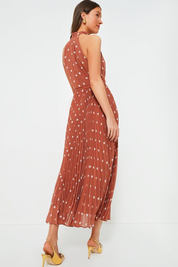 Aragon and Cream Dot Sunray Picnic Dress Online Sale