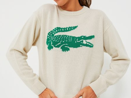 Big Croc Cashmere Sweater Cheap