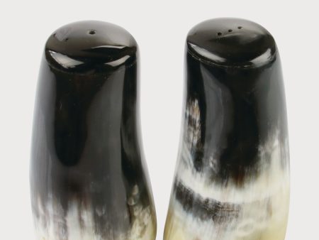 Horn Salt & Pepper Set Online Sale