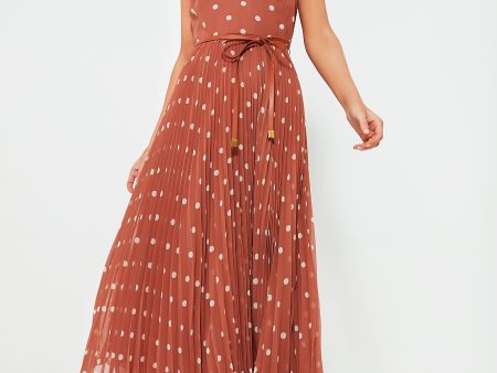 Aragon and Cream Dot Sunray Picnic Dress Online Sale