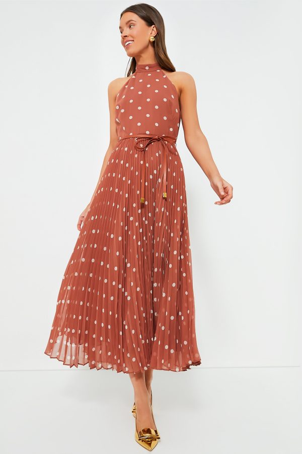 Aragon and Cream Dot Sunray Picnic Dress Online Sale