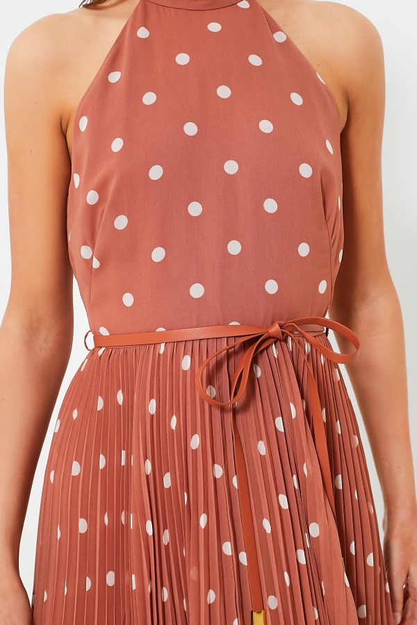 Aragon and Cream Dot Sunray Picnic Dress Online Sale