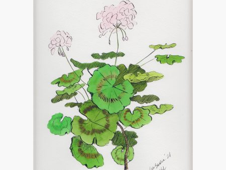 Light Pink Geraniums Set of 2 Prints Online now