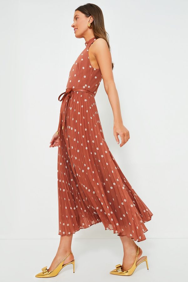 Aragon and Cream Dot Sunray Picnic Dress Online Sale