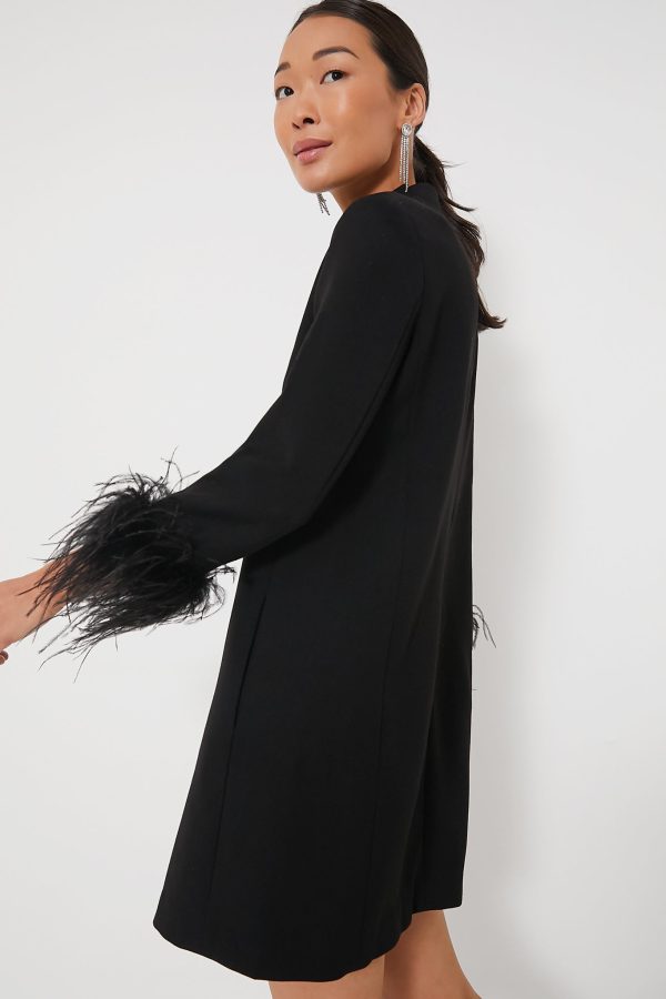 Black Feather Mod Ellie Dress Online now